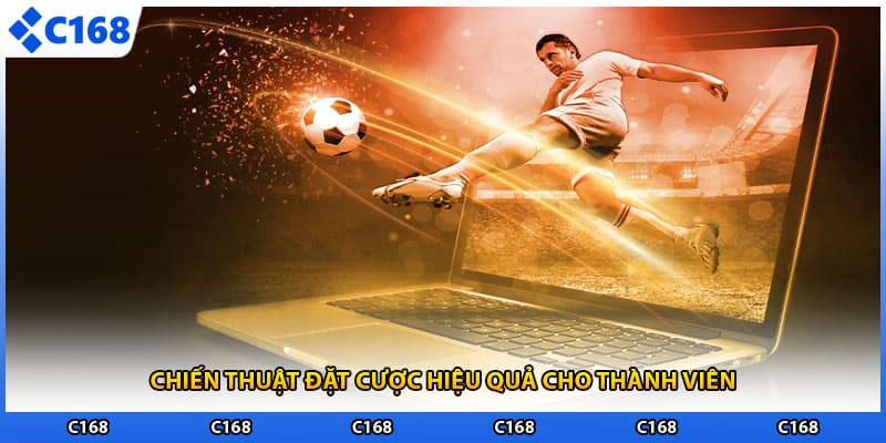 Chiến thuật đặt cược hiệu quả cho thành viên