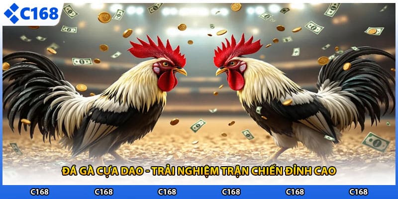 Đá Gà Cựa Dao - Trải Nghiệm Trận Chiến Đỉnh Cao