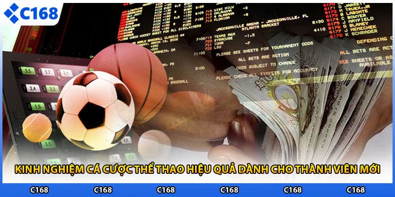 Kinh nghiệm cá cược hiệu quả cho thành viên mới