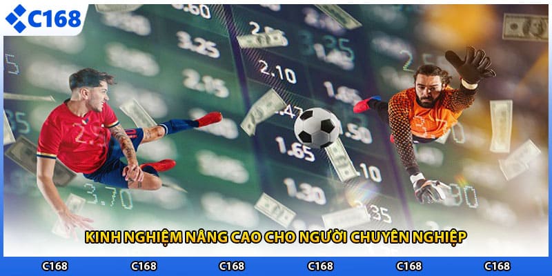 Kinh nghiệm nâng cao cho người chuyên nghiệp