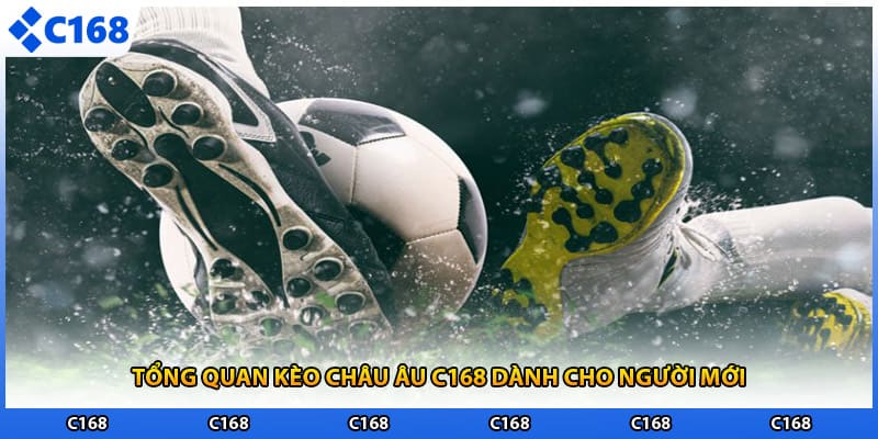 Tổng quan kèo châu âu C168 dành cho người mới